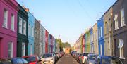 The Rainbow Street - Copyright Tash Frootko
