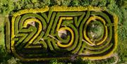 Painswick Rococo Garden - an aerial view of the maze