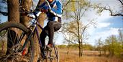 Bicycle Hire, Servicing & Repairs in Cheltenham