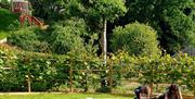 Rainswick rococo garden