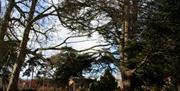 Hillfield Gardens
