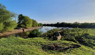 Alney Island Nature Reserve