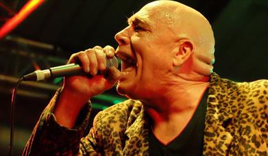 Bad Manners 50th Anniversary Xmas Party!