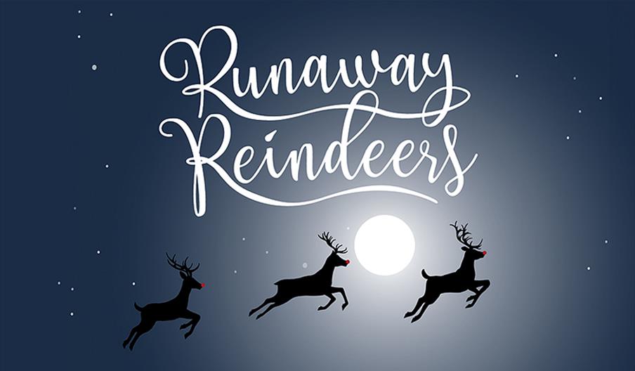 Runaway Reindeers!