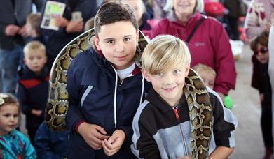 Meet the reptiles at Over Farm this May